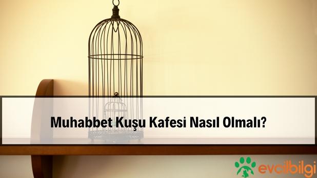 Muhabbet Kuşu Kafesi Nasıl Olmalı