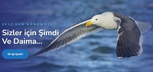 okeanos tercume burosu okeanos tercume burosu